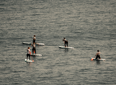 paddleboard